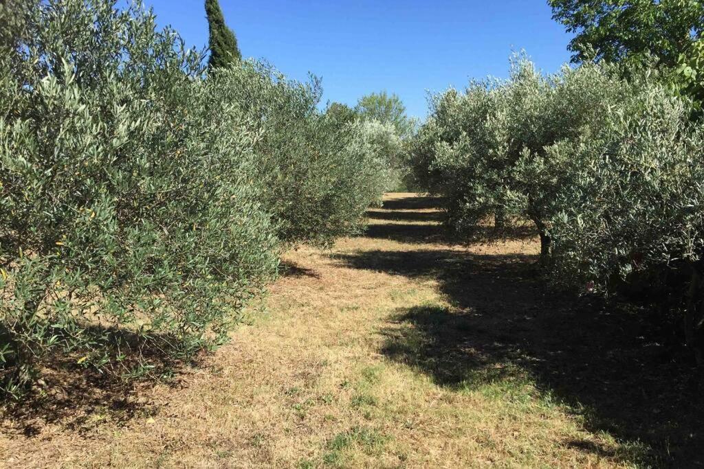 הוילה קוטיניאק Bastide Derroc מראה חיצוני תמונה